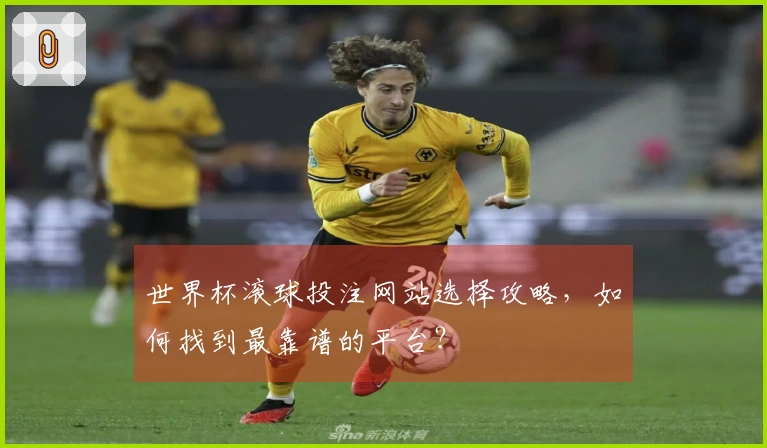 世界杯滚球投注网站选择攻略，如何找到最靠谱的平台？