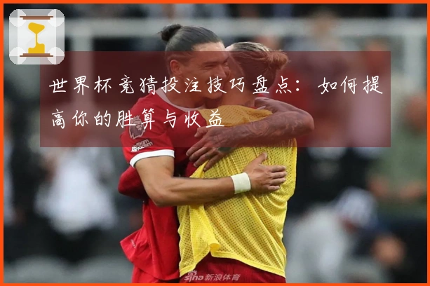 世界杯竞猜投注技巧盘点：如何提高你的胜算与收益