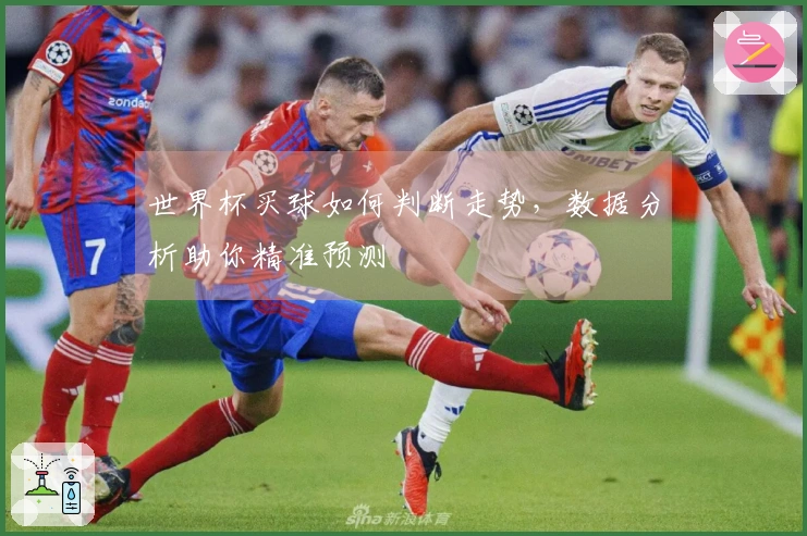 世界杯买球如何判断走势，数据分析助你精准预测