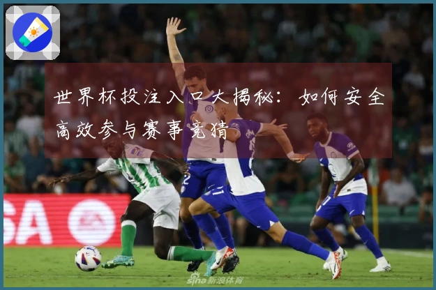 世界杯投注入口大揭秘：如何安全高效参与赛事竞猜