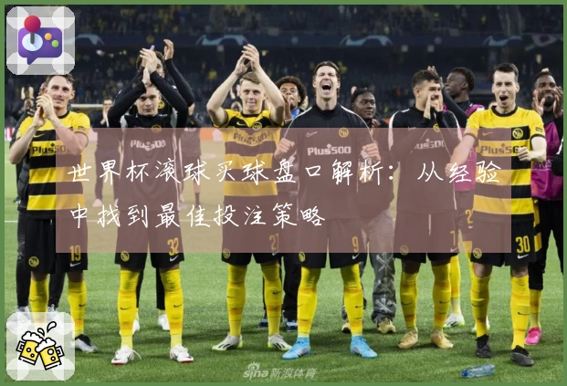 世界杯滚球买球盘口解析：从经验中找到最佳投注策略