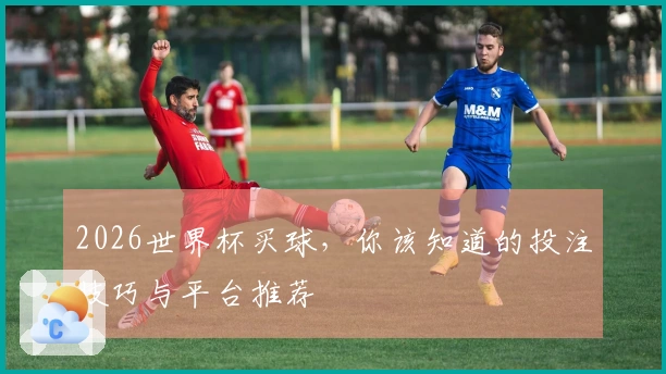 2026世界杯买球，你该知道的投注技巧与平台推荐