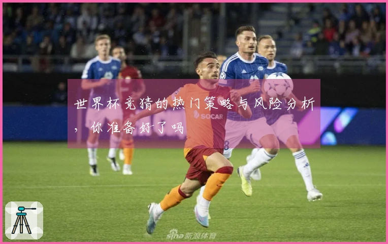 世界杯竞猜的热门策略与风险分析，你准备好了吗