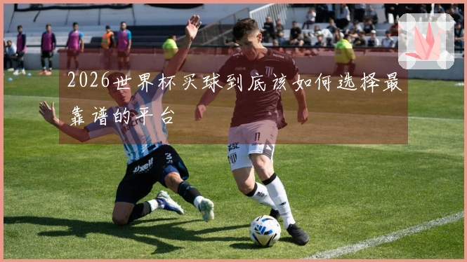 2026世界杯买球到底该如何选择最靠谱的平台