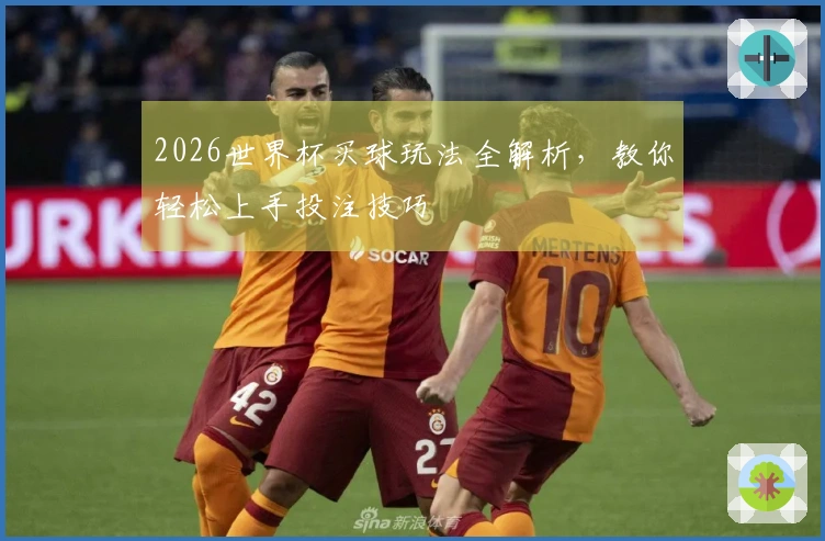 2026世界杯买球玩法全解析，教你轻松上手投注技巧