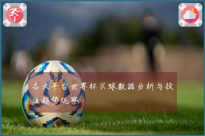 各大平台世界杯买球数据分析与投注趋势观察