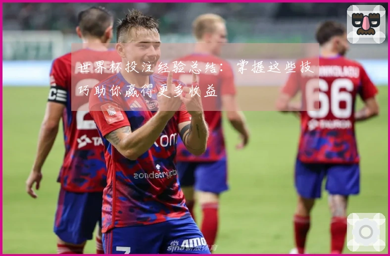 世界杯投注经验总结：掌握这些技巧助你赢得更多收益
